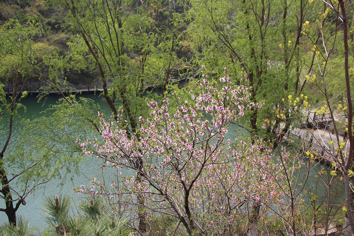 2021,濟南辰達試驗機制造有限公司九如山一日游!